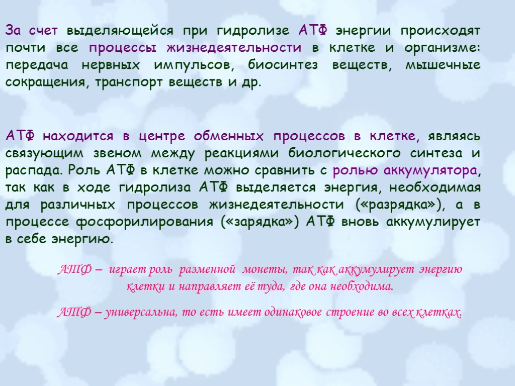 АТФ находится в центре обменных процессов в клетке, являясь связующим звеном между реакциями биологического